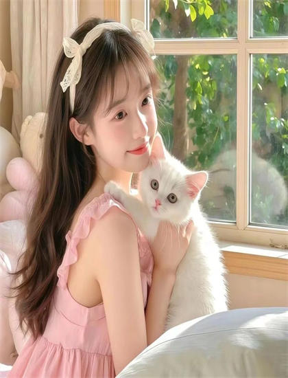 情事两姐妹与原作对比分析：改编成功之处探讨